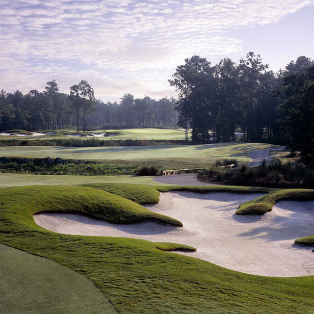 Big-Cats-Golf-Packages
